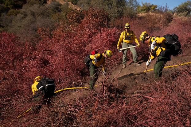Wildfires in Los Angeles