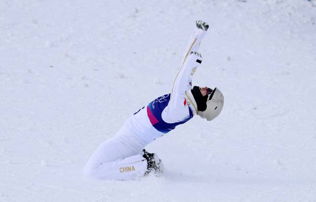 Freestyle Skiing - Men's Aerials Finals