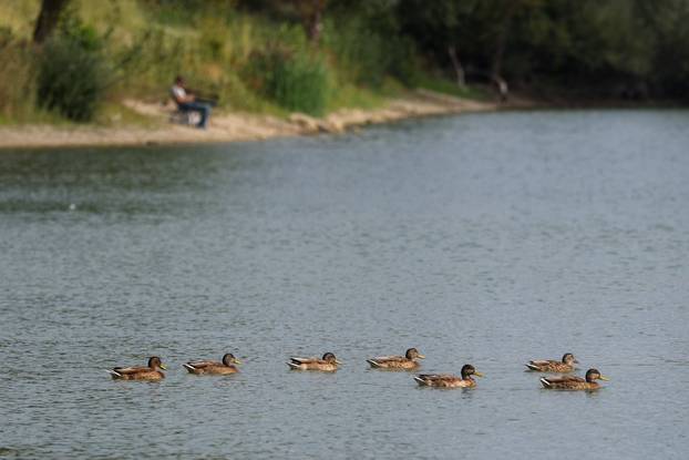 Zagreb: Šoderice Blato omiljeno su okupljalište lokalnih ribiča