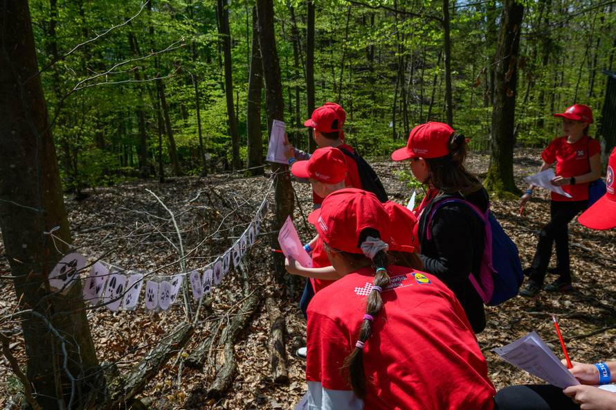 Treća sezona škole u prirodi održana na Papuku, Paklenici, Golubinjaku i Ključić Brdu