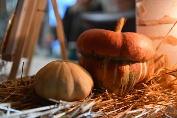 Ivanić-Grad: Koncertom Jelene Rozge, otvorena Bučijada