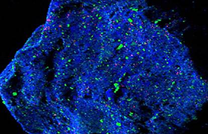 TAJNE SVEMIRA Znanstvenici na asteroidu otkrili misteriozne minerale kojih nema na Zemlji