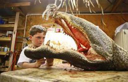 Petogodišnjak ubio četiri metra velikog aligatora