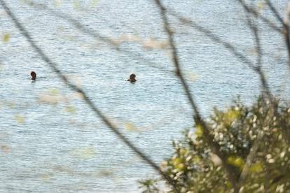 Zadar: Sunčan i ugodan dan uz more neki iskoristili i za kupanje