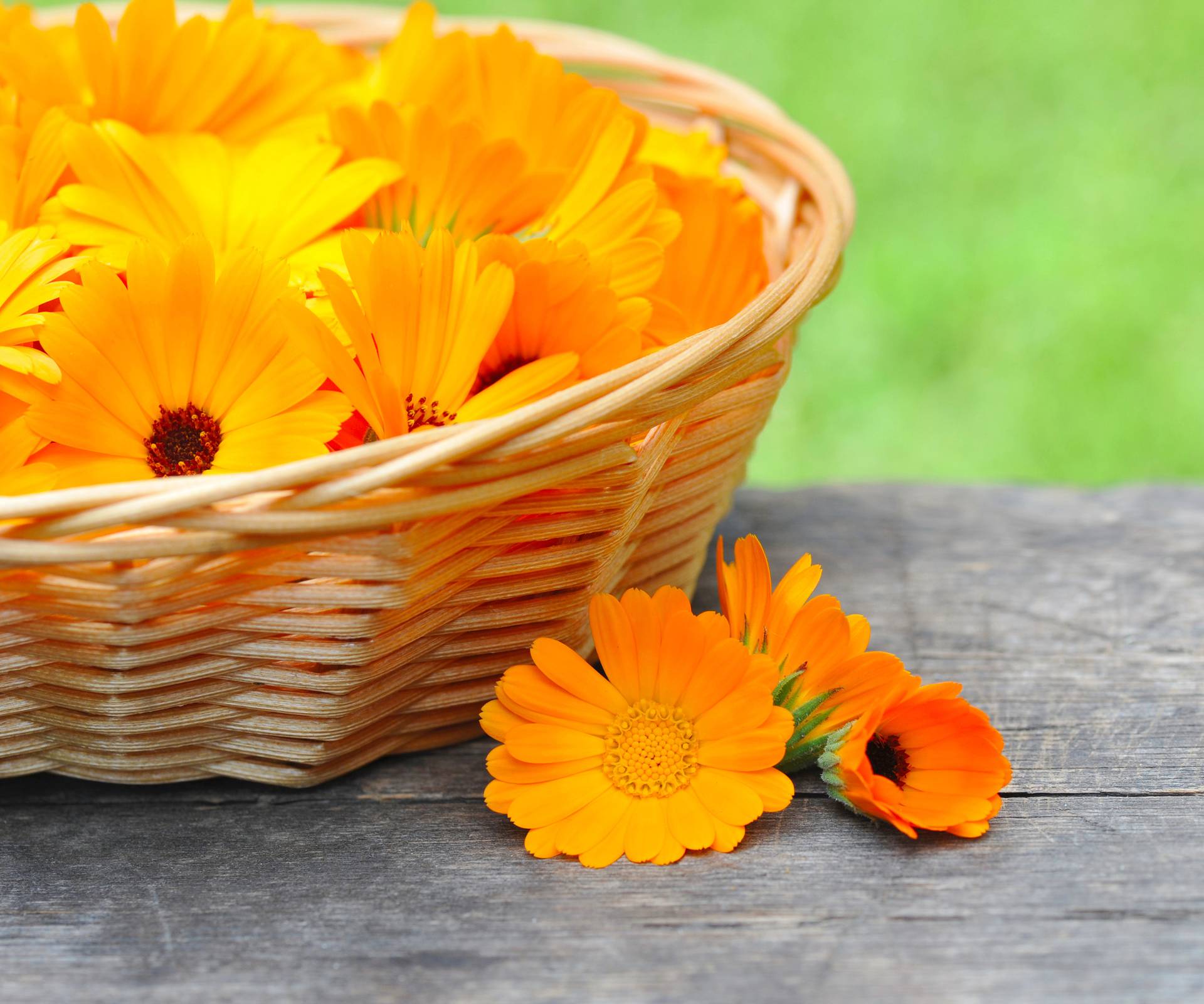 Fresh calendula flowers are in a basket on wooden table