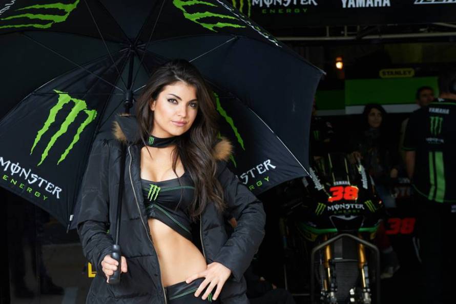 https://www.facebook.com/MonsterEnergyGirls/