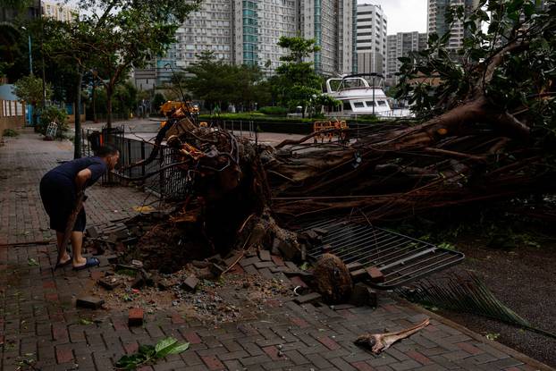 A man looks at fallen trees following Super Typhoon Saola, in Hong Kong