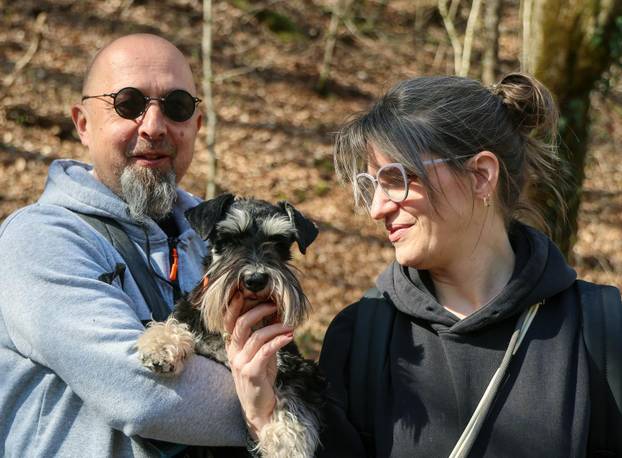 Žumberak: U organizaciji Miniature Schnauzers Croatia održano je druženje patuljastih šnaucera