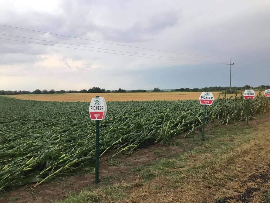 Slavoniju i Baranju poharalo nevrijeme:  'Samo se slijevala kiša i plavila sve što imamo'