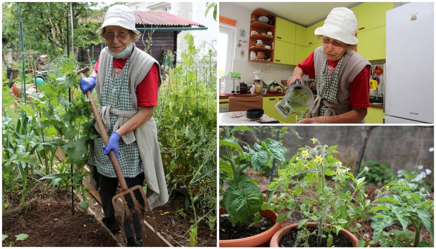 Zlatin rajski vrt: Ja sam prva započela s eko poljoprivredom