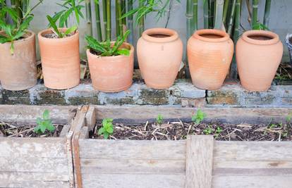 Birajte terakotu ili glinu, a ne plastične tegle za svoje biljke