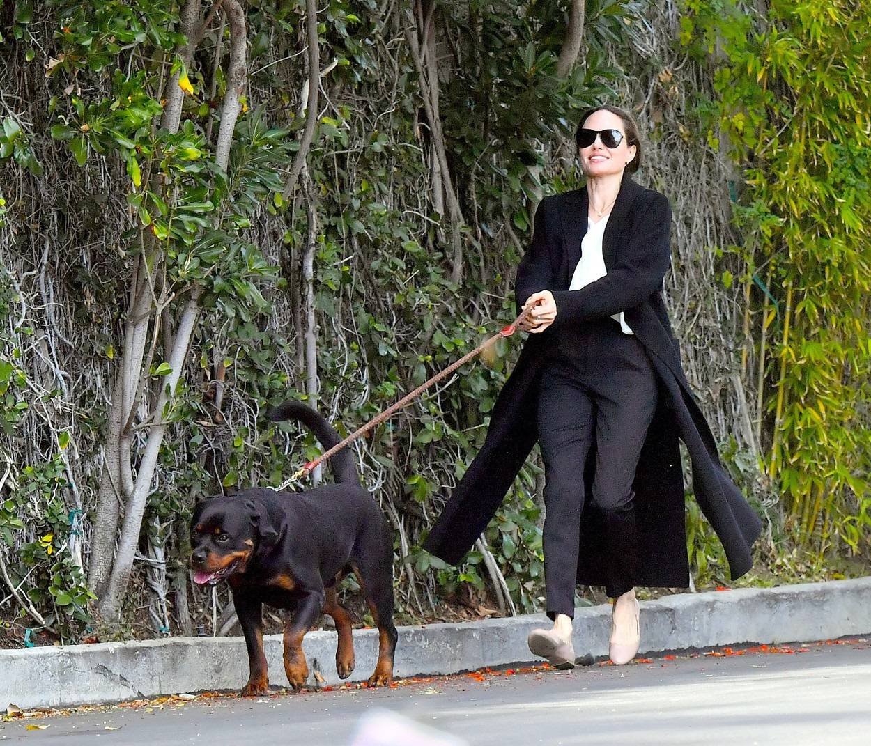 ** PREMIUM EXCLUSIVE RATES APPLY **  Angelina Jolie and daughter Vivienne are seen being pulled by their dogs as they leave a pet grooming salon in Los Angeles