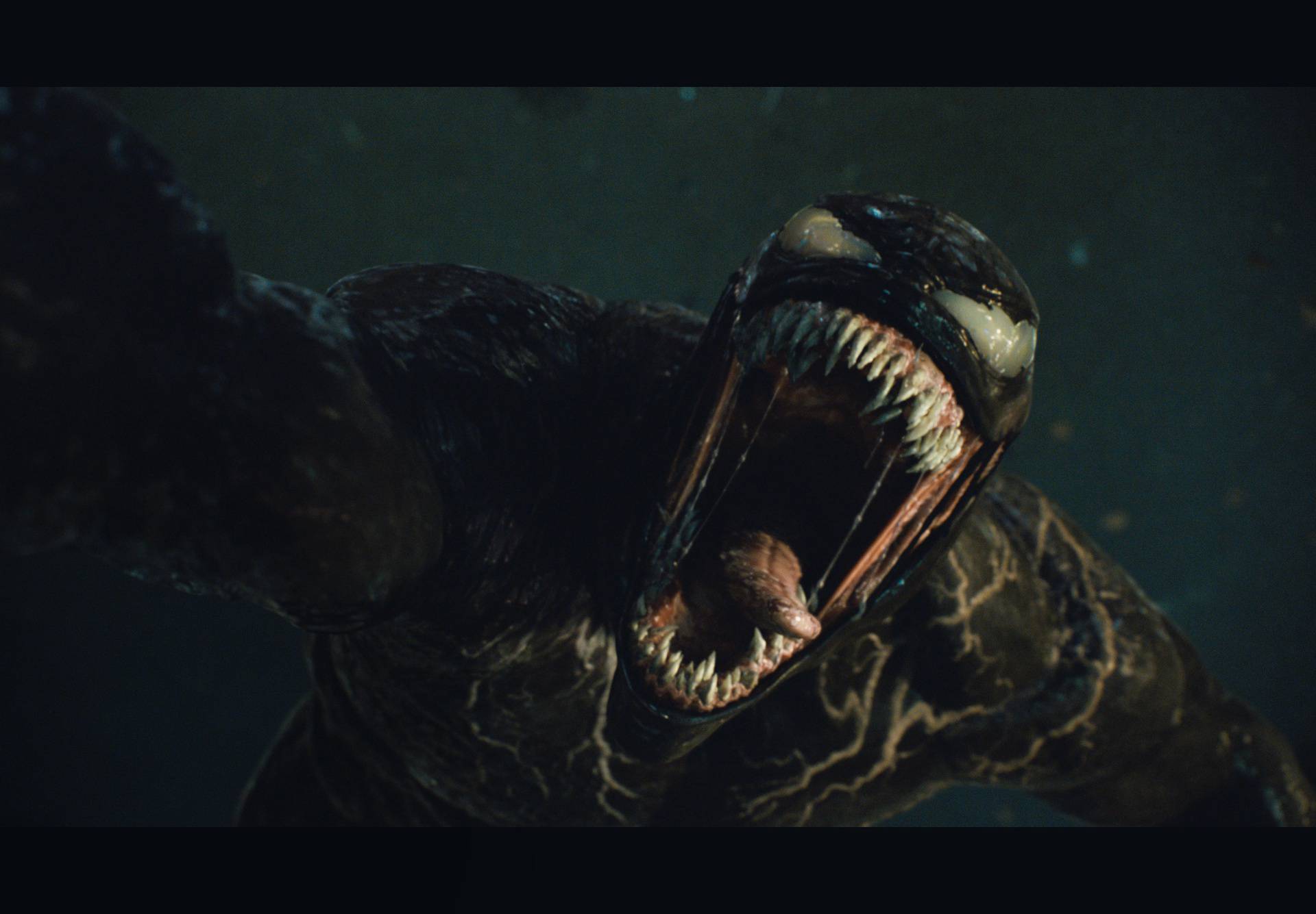 Venom 2 ruši rekorde! Spektakularni sraz Venoma i Carnagea stigao je u naša kina!