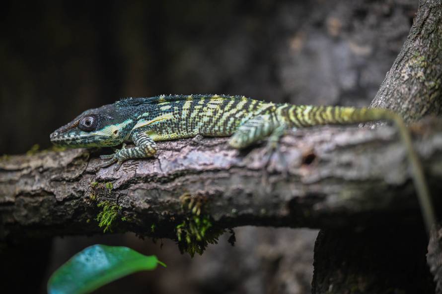 24sata Zagreb: Rodilište u Zoološkom vrtu