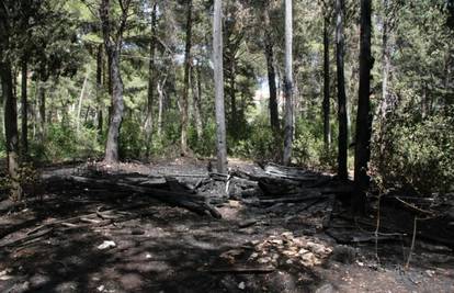 U parku Vruljica u Zadru izgorjela šuma i raslinje