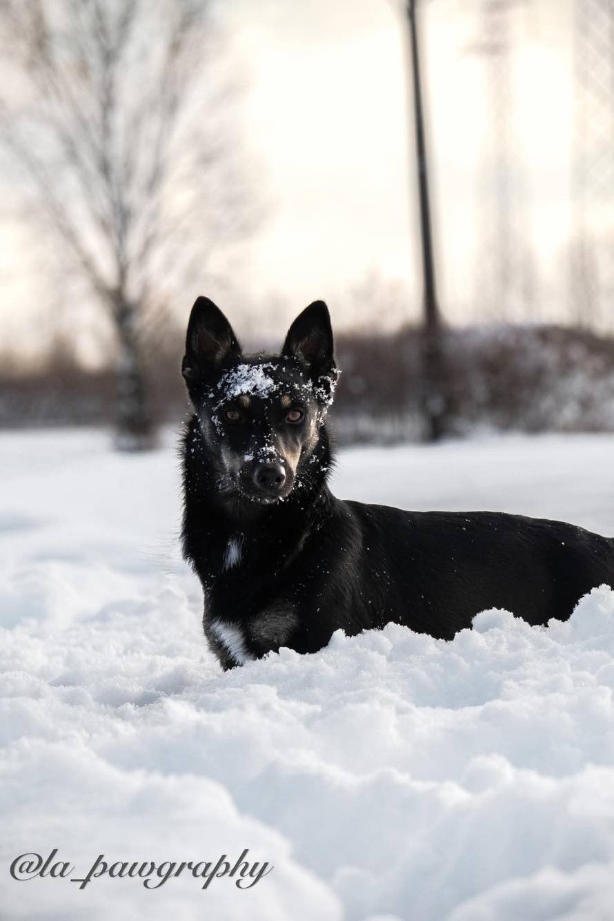 Općinska komunalka sama 'izlopatala' snijeg sa staze: 'Nema nikakve drame u tome'