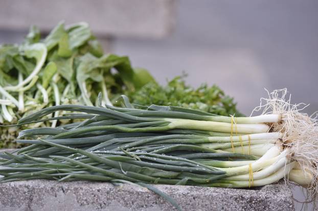 Šibenik: Subotnje jutro na gradskoj tržnici