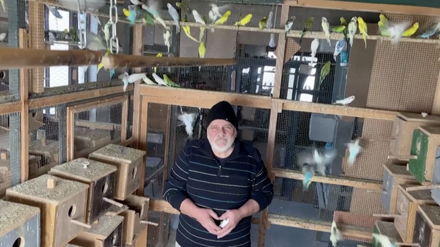 Makedonac živi sa 600 papiga: 'Svakog prepoznajem po perju'
