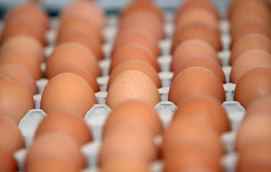 Duško Jaramaz/PIXSELL