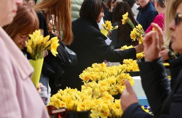 Split: Dan narcisa na rivi.