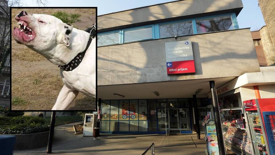 Vlasnik doge je otac: 'Curica je trenutno dobro, ali još je rano'