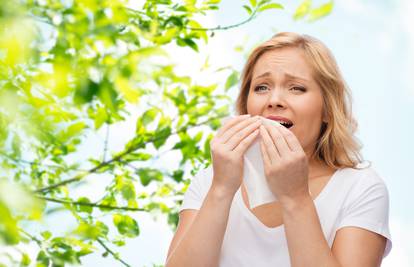 Kako ublažiti sezonske alergije: Evo koje biljke pomažu, kako koristiti lijekove, što s peludom