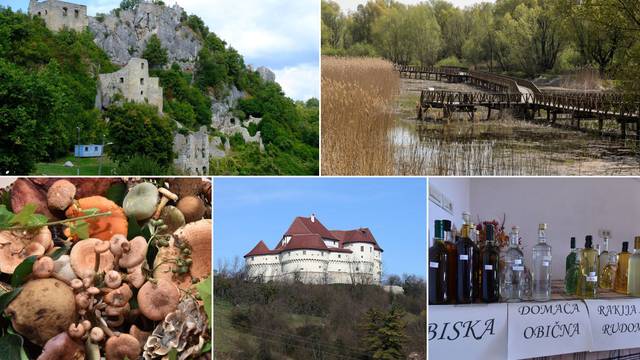 Ne znate kamo otići za vikend? Posjetite dvorac Veliki Tabor u Zagorju ili Dane gljiva u Istri