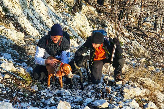 Planinari spasili dva lovačka psa pronađena na vrhu Sv. Ilija