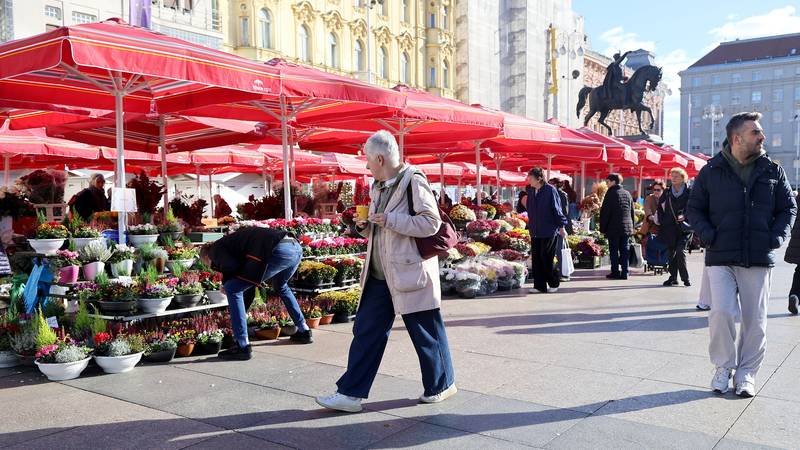 FOTO Zagreb je pun cvijeća uoči Svih svetih: Multiflore od 2 €, evo koliko su krizanteme...
