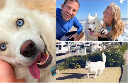 Pas koji nije mogao hodati postao je zvijezda Instagrama