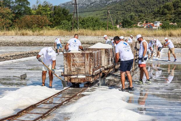 Berba soli u Stonskoj solani