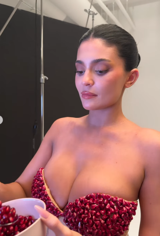Jestivi grudnjak Kylie Jenner: Bujne obline prekrila je šipkom