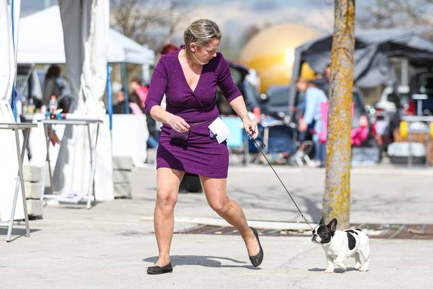 Zaprešić: Ispred Wesgatea održana međunarodna izložba pasa