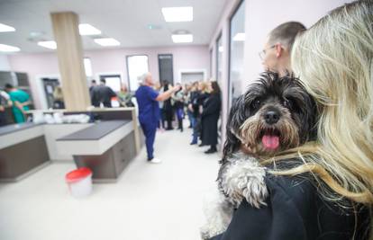 Split: Otvara se veterinarska bolnica za pse i mačke