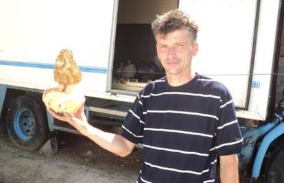 Na proplanku je pronašao gljivu smrčak vrijednu 1200 kn
