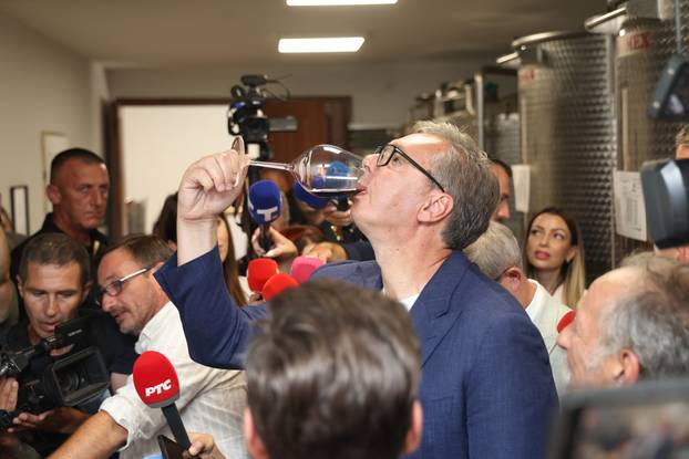 Aleksandra Vučić posjetio je jugoistok Srbije 