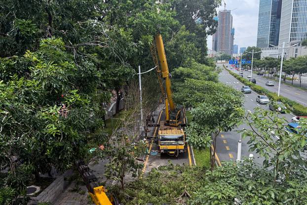 Workers cut off tree branches along a road, in preparation for Super Typhoon Ragasa, in Shenzhen