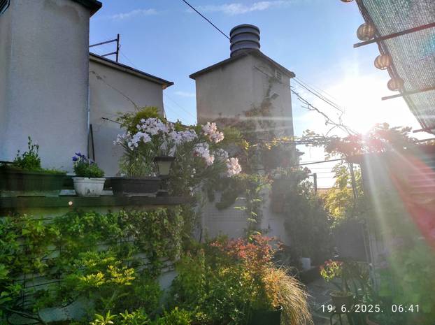 FOTO Zoran je na krovu zgrade u Zagrebu napravio zelenu oazu: 'Tu sadimo biljke, družimo se...'