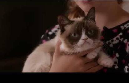Komedija godine: Pogledajte najavu filma o mačku Mrgudu