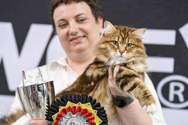 Zagreb: Međunarodna izložba mačaka WCF Cat Olimpia 2025