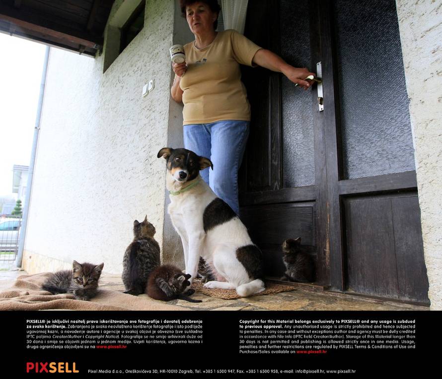 Marijan Sušenj/PIXSELL