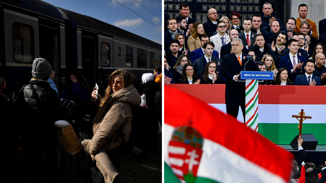 'Očekujem veći val izbjeglica iz Ukrajine sljedeći tjedan...'