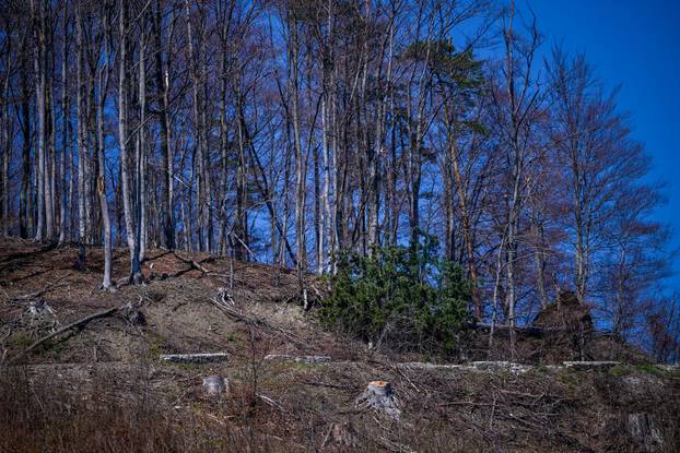 Zagreb: Posljedice olujnog nevremena na Sljemenu