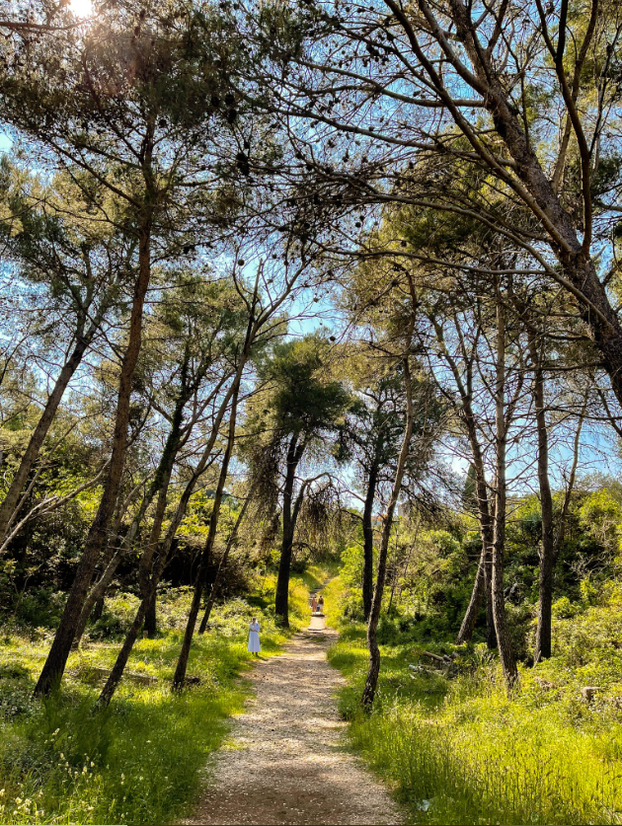 FOTO Najljepše pješačke staze u Hrvatskoj: Izgledaju bajkovito
