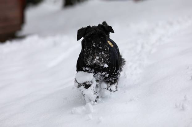 Prvi ovogodišnji snijeg zabijelio Sljeme 