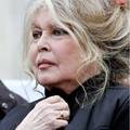 Imovina Brigitte Bardot pripala je zakladi koju je osnovala, a ona je posve&cacute;ena &zcaron;ivotinjama