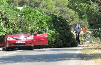 Stablo se srušilo na auto kod Pule, ozlijeđeno je dvoje ljudi