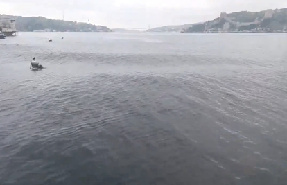 Pogledajte kako je 'zaplesalo' more nakon potresa u Turskoj