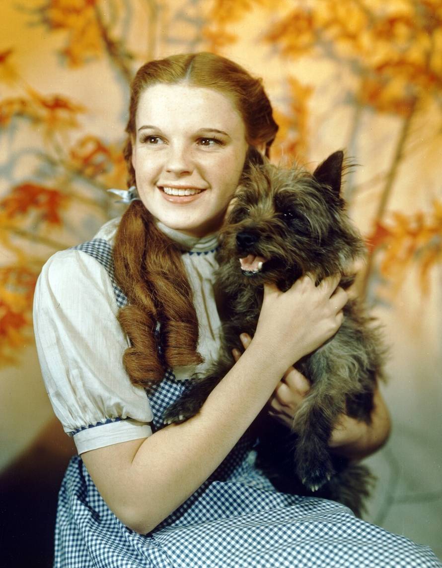 Na setu 'Čarobnjaka iz Oza' bilo je pijanaca, Judy Garland  bila je zlostavljana, a vještica izgorena