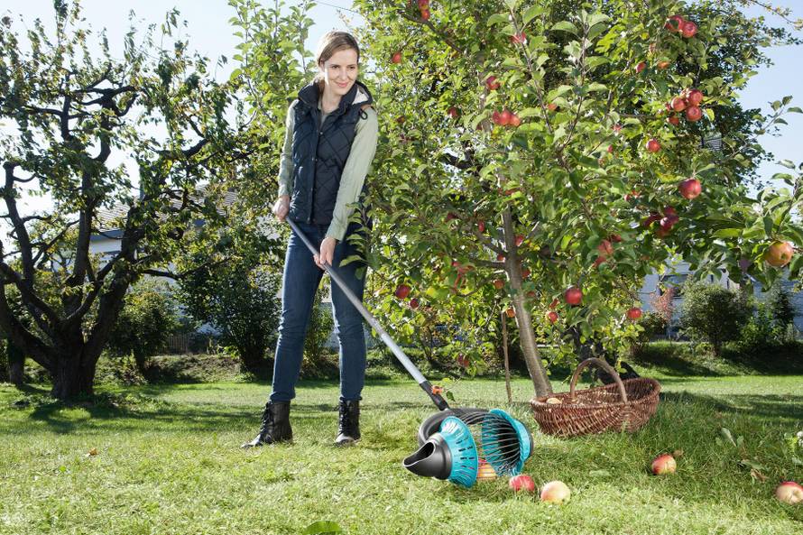 Jesenski poslovi u vrtu